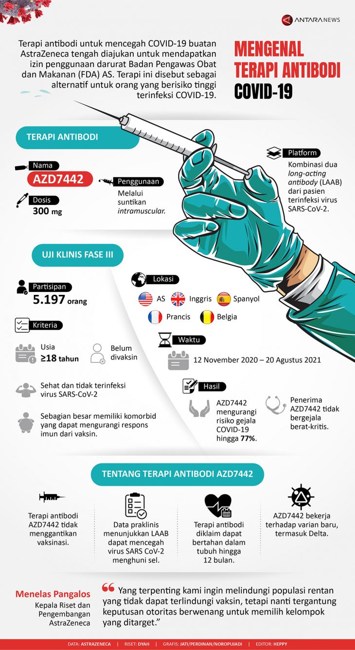 Infografik Mengenal terapi antibodi COVID-19