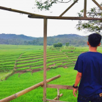 Rumah Pohon Podorejo Pringsewu Lampung