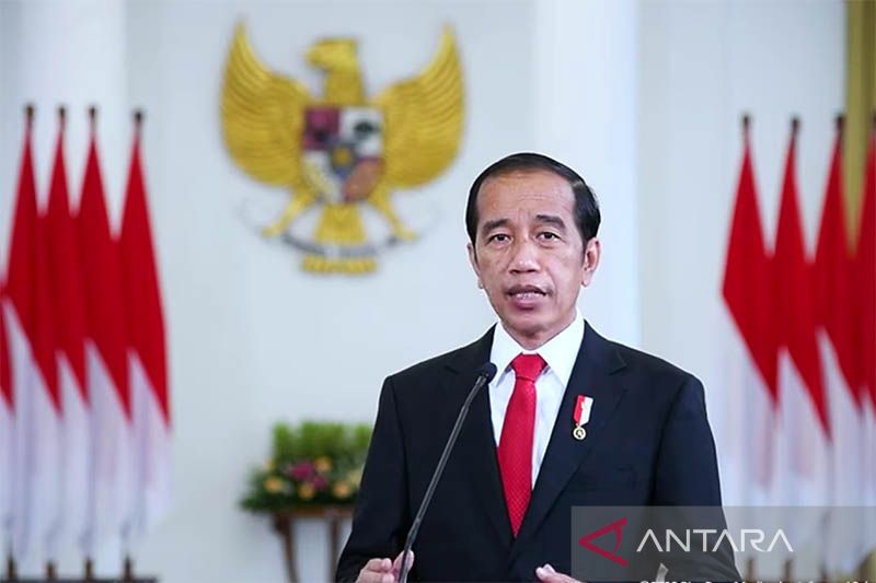 Presiden: G20 Indonesia angkat pentingnya ekonomi biru-karbon biru
