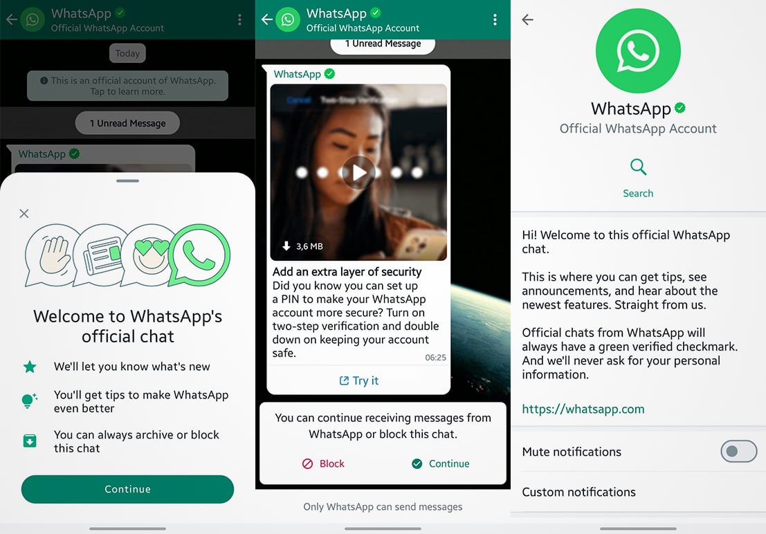 Terima Chat dari Akun WhatsApp Centang Hijau? Harus Diapakan?