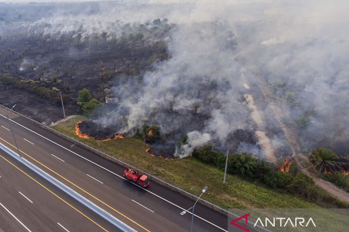 Kebakaran lahan di sisi Jalan Tol Trans Sumatera ruas Palembang-Indralaya