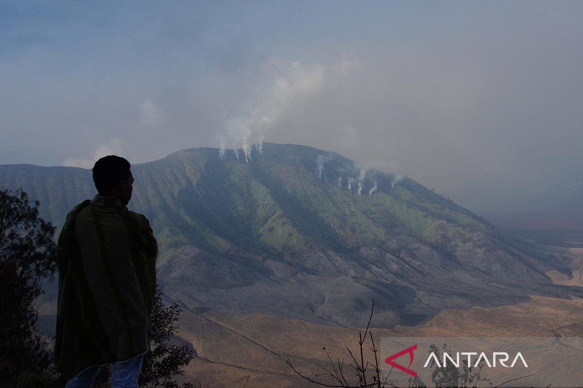 Kawasan Gunung Bromo ditutup akibat kebakaran
