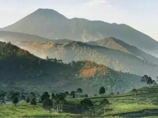 Restoran Puncak Rekomendasi