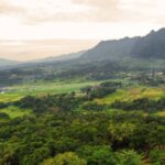 Temukan Ketenangan di The Hanjawong Villas: Tempat Peristirahatan Impian di Tengah Alam